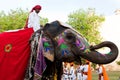 Gangaur Festival-Jaipur