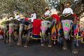 Gangaur Festival-Jaipur people riding elephants