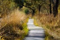 Gangplank through the nature