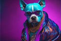 Gangsta pet dog colorful fashion portrait