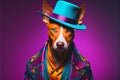 Gangsta pet dog colorful fashion portrait