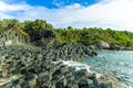 Ganh Da Dia, Phu Yen, Viet Nam, masterpiece of nature, wonderful, fantastic heritage, abstract place for Vietnam travel, rock make Royalty Free Stock Photo