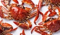 ganjang gejang ( raw gazami crabs marinated in sweet spicy soy sauce ), Korean food isolated on white background