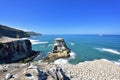 Gannet in Birds island Royalty Free Stock Photo