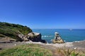 Gannet in Birds island Royalty Free Stock Photo