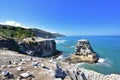 Gannet in Birds island Royalty Free Stock Photo