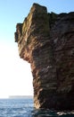 Gannet cliff Royalty Free Stock Photo