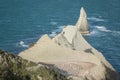 Gannet colony at cape kidnappers