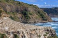 Gannet colony habitat in Muriwai coastline. Royalty Free Stock Photo