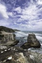 Gannet colony Muriwai beach near Auckland