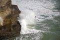 Gannet Flying Among Crashing Waves