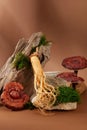 Ganoderma mushrooms and ginseng roots are placed on a stone slab with green moss. Lingzhi mushroom and ginseng are two valuable Royalty Free Stock Photo