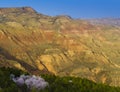 Gansu moutain spring Royalty Free Stock Photo