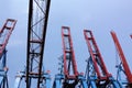 Gantry cranes