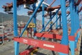 Gantry cranes in modern container terminal in the Port of La Guaira observed from moored cargo ship. Royalty Free Stock Photo