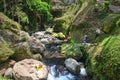 Ganung Kawi Temple. temple complex centered around royal tombs carved into stone cliffs in the 11th century. Bali Royalty Free Stock Photo