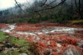 Ganzi, China: Red Rock National PARK Royalty Free Stock Photo