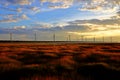 Gaomei wetlands during sunset with wind turbine background in Taiwan