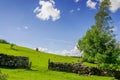 A gap in a dry stone wall with a windswept tree. Royalty Free Stock Photo
