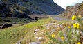 Old Stone Bridge at the Gap of Dunloe, Kerry, Ireland Royalty Free Stock Photo