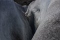 Gap in the glacier, Greenland