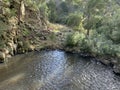 The Pond Below Loddon Falls