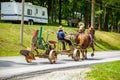 Pulling Plow on Road with Horses Royalty Free Stock Photo