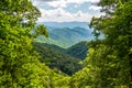 A Gap Through the Tall Trees Reveals the Great Smoky Mountains of North Carolina Royalty Free Stock Photo