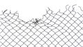 Gap of wire netting