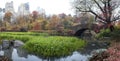 Gapstow bridge in autumn Royalty Free Stock Photo