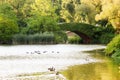 Gapstow Bridge, Central Park, New York