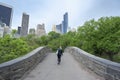 Gapstow bridge in Central Park New York City