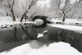 Gapstow bridge in winter