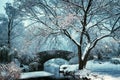 Gapstow bridge during winter, Central Park New York City. USA Royalty Free Stock Photo