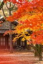 Gapyeong,South Korea-October 2020: Bicycle parked in front of wooden traditional old house with autumn yellow trees at the front