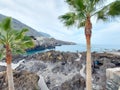 Garachico in Tenerife. Beach. Volcanic rocks. Palms Royalty Free Stock Photo