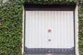 Garage Door Ivy Flora Royalty Free Stock Photo