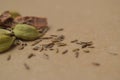 Garam Masala Indian Spice Mix, Cardamom Seeds, Cinnamon and Cumin Seeds Royalty Free Stock Photo