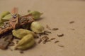Garam Masala Indian Spice Mix, Cardamom Seeds, Cinnamon and Cumin Royalty Free Stock Photo