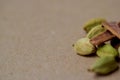 Garam Masala Indian Spice Mix, Cardamom Seeds, Cinnamon Royalty Free Stock Photo