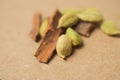 Garam Masala Indian Spice Mix, Cardamom Seeds Royalty Free Stock Photo