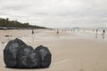 Garbage bag the beach, environmental pollution concept picture Royalty Free Stock Photo