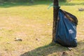 garbage bag tied to a treein the park on green grass Royalty Free Stock Photo