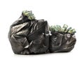 Garbage bags full of cash isolated