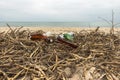 Garbage on the beach. Empty plastic bottles and dry reeds on the sand. Environmental pollution Royalty Free Stock Photo