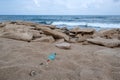 Garbage on a beach, environmental pollution concept picture. Royalty Free Stock Photo