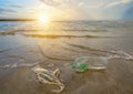 Garbage the beach sea plastic bottle lies on the beach and pollutes the sea and the life of marine life Spilled garbage on the