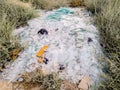 Garbage broken class dumped in the wilderness by glass factories. Illegal dumping threatening nature and biodiversity Royalty Free Stock Photo