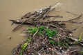 River pollution: branches, plastic bottles and other trash Royalty Free Stock Photo
