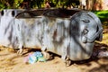 Garbage can storage, Garbage bin storage stainless steel Royalty Free Stock Photo